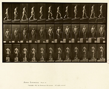 22 - Vol 1 - Plate 74
